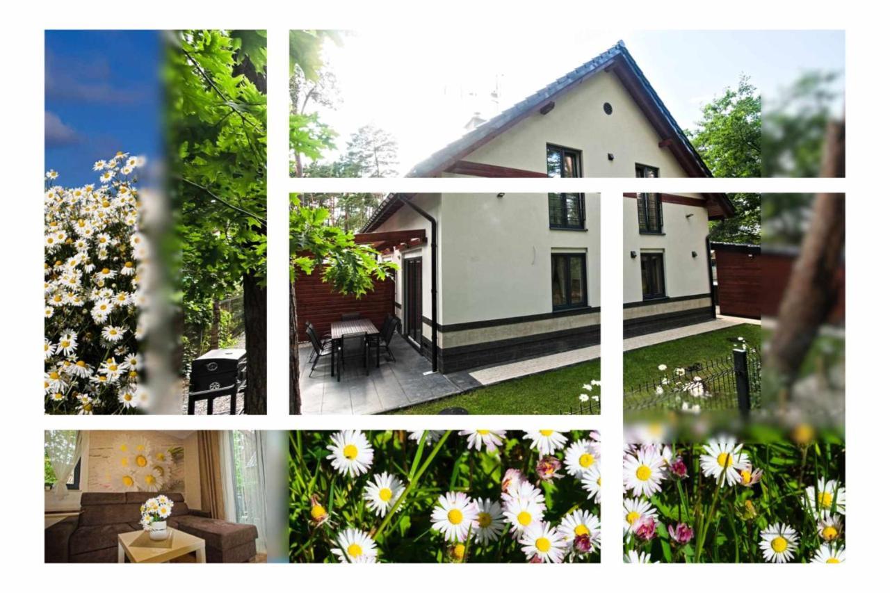 Daisy - Sunny Flowers Apartments Лукенцин Экстерьер фото